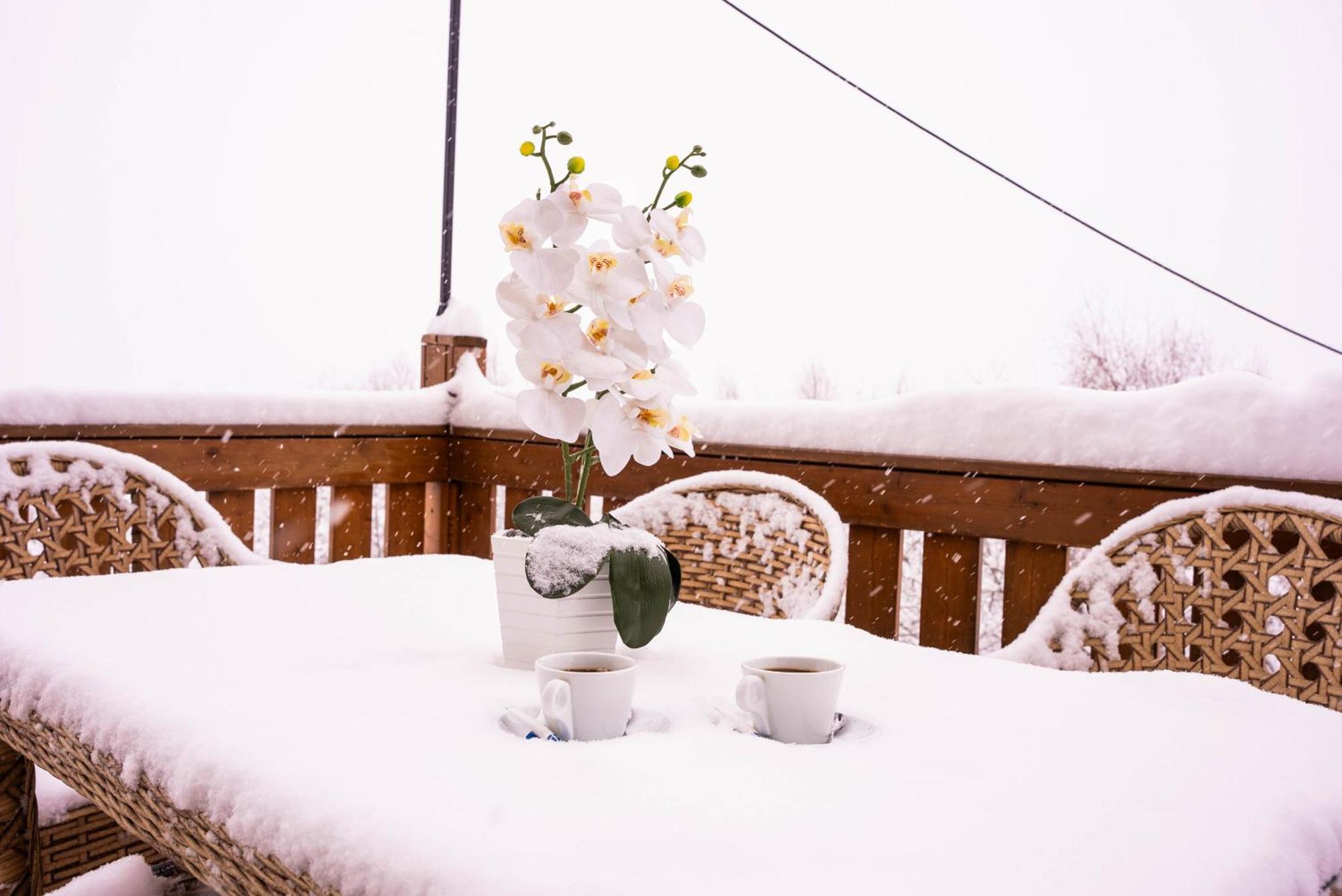 Gudauri Inn エクステリア 写真 Snow in Jerusalem